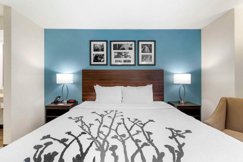 Postel nebo postele na pokoji v ubytování Sleep Inn Mt Pleasant - Charleston