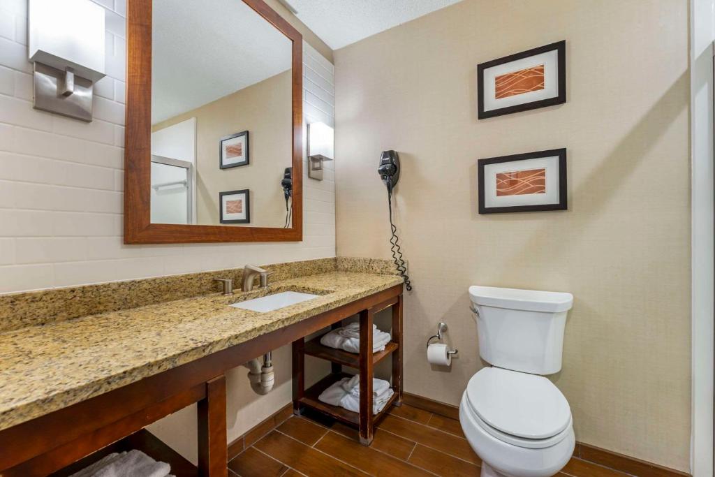 a bathroom with a toilet and a sink and a mirror at Comfort Inn & Suites in Triadelphia