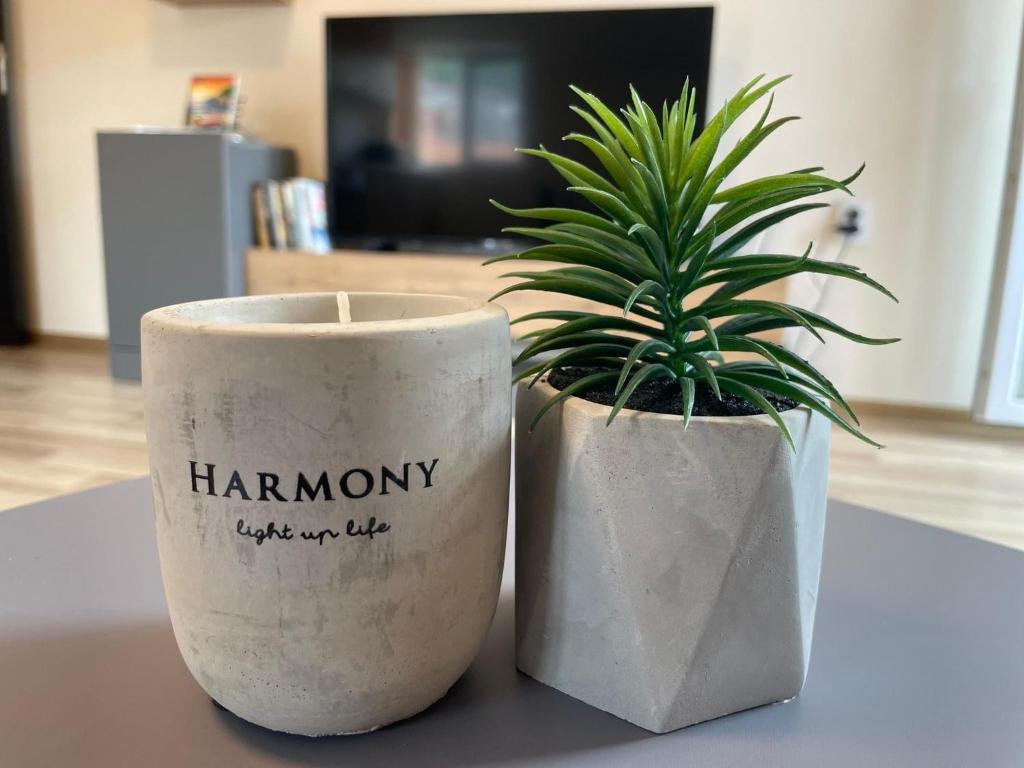 a candle and a potted plant on a table at Hancho - Velingrad - Marvel Apartament in Velingrad