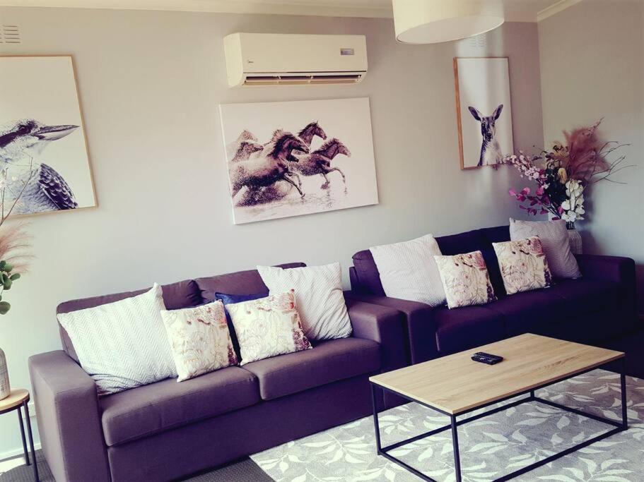 ein Wohnzimmer mit einem lila Sofa und einem Tisch in der Unterkunft Wild Brumby- A cozy home away from home in Corryong