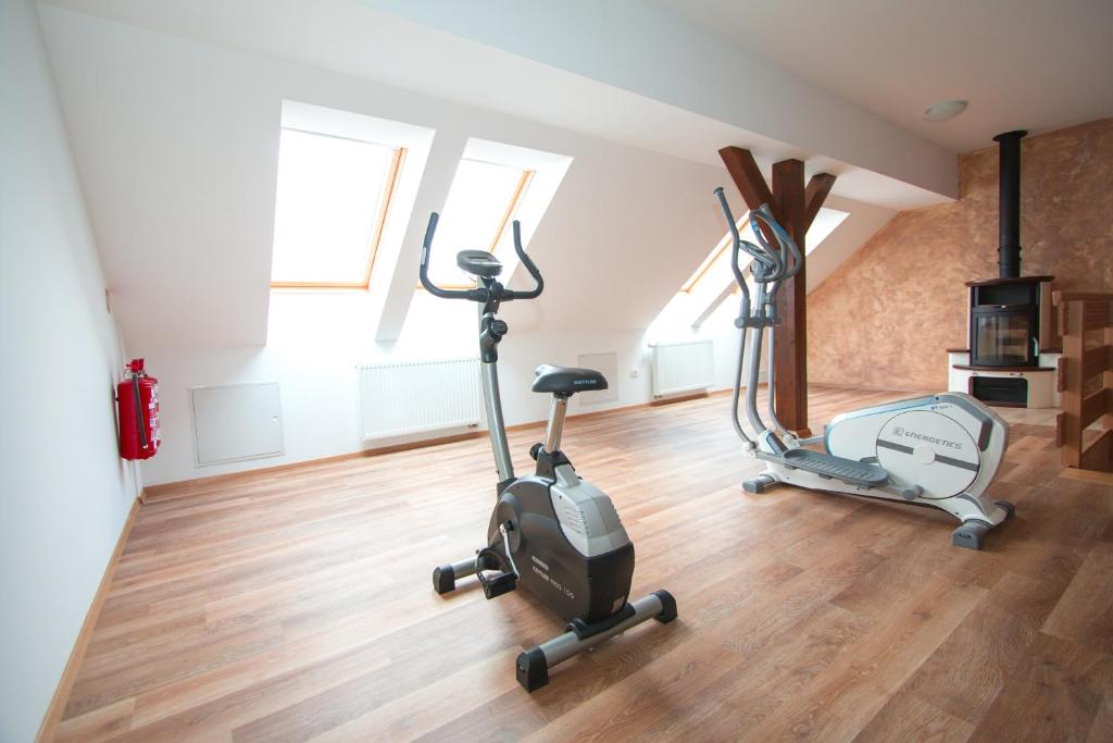 Fitness centrum a/nebo fitness zařízení v ubytování Tourist farm Megušar