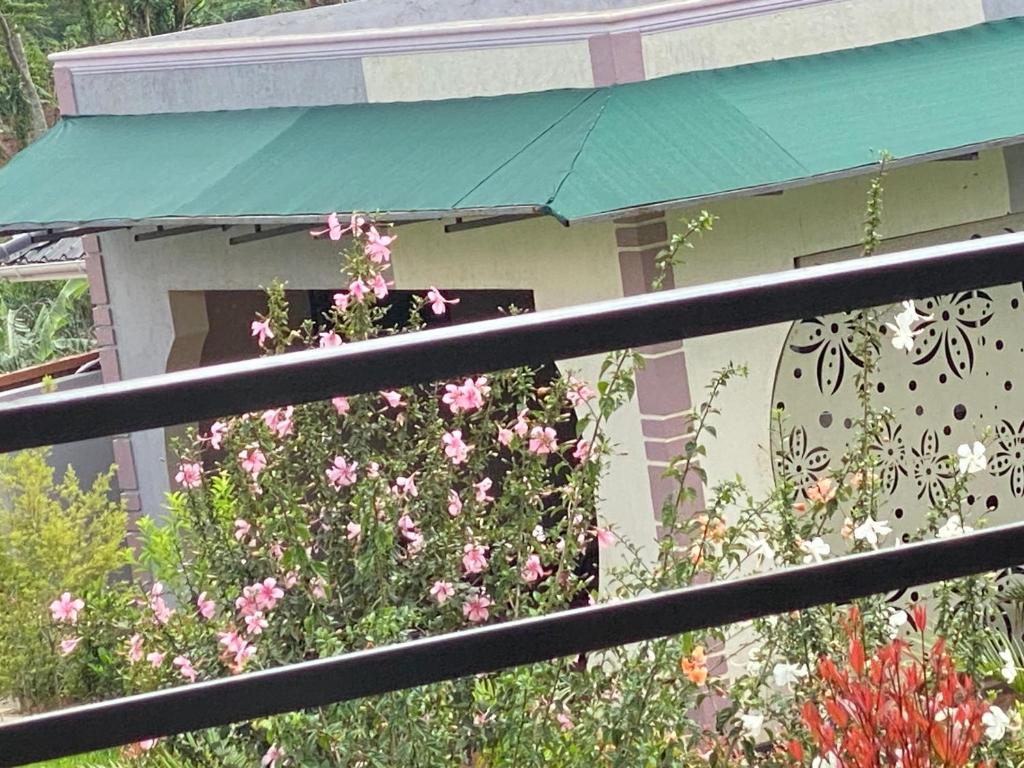 una casa con flores rosas frente a una ventana en Zoe heights villas, en Kalungu