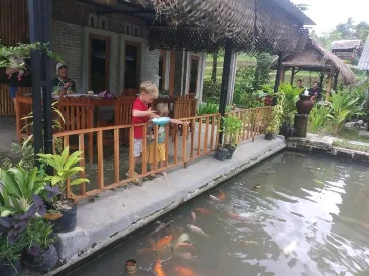 Hosté ubytování Sarang Walet Homestay
