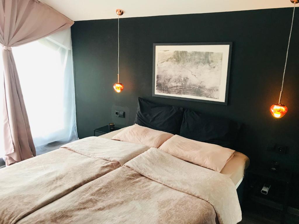 切爾諾莫雷茨的住宿－Вила ОмниЯ，一间卧室设有一张大床和一个窗户。