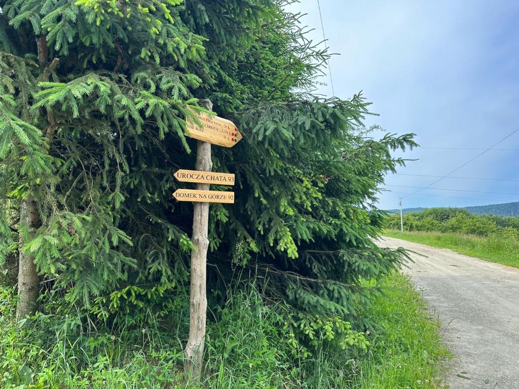 Príroda v okolí horskej chaty