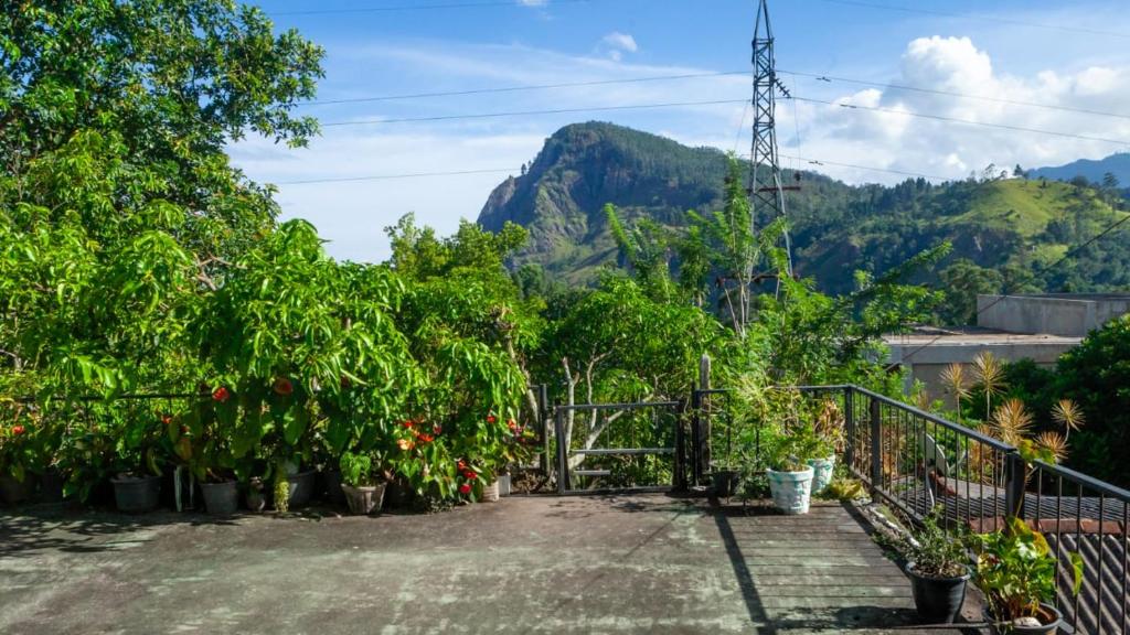 a view of a garden with trees and plants at Welcome Homestay in Ella