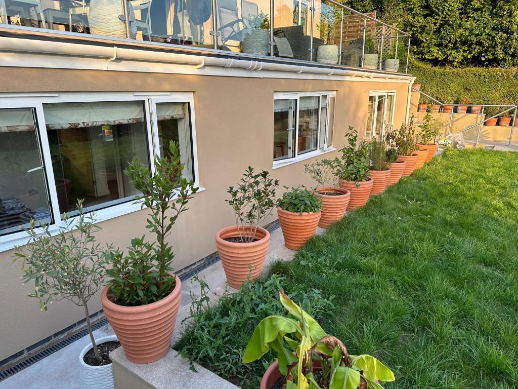格拉斯頓伯里的住宿－Glastonbury Vista，建筑物边一排盆盆栽植物