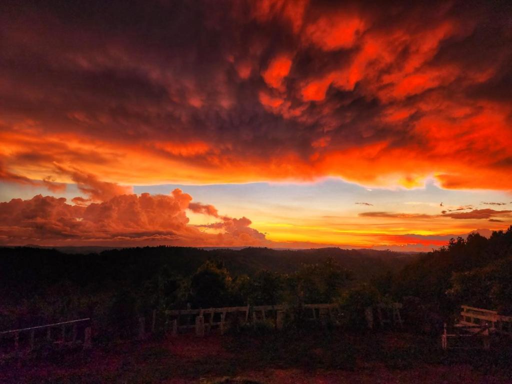 una vista de la puesta de sol desde la cima de una colina en Nature's Nest Cottage, 