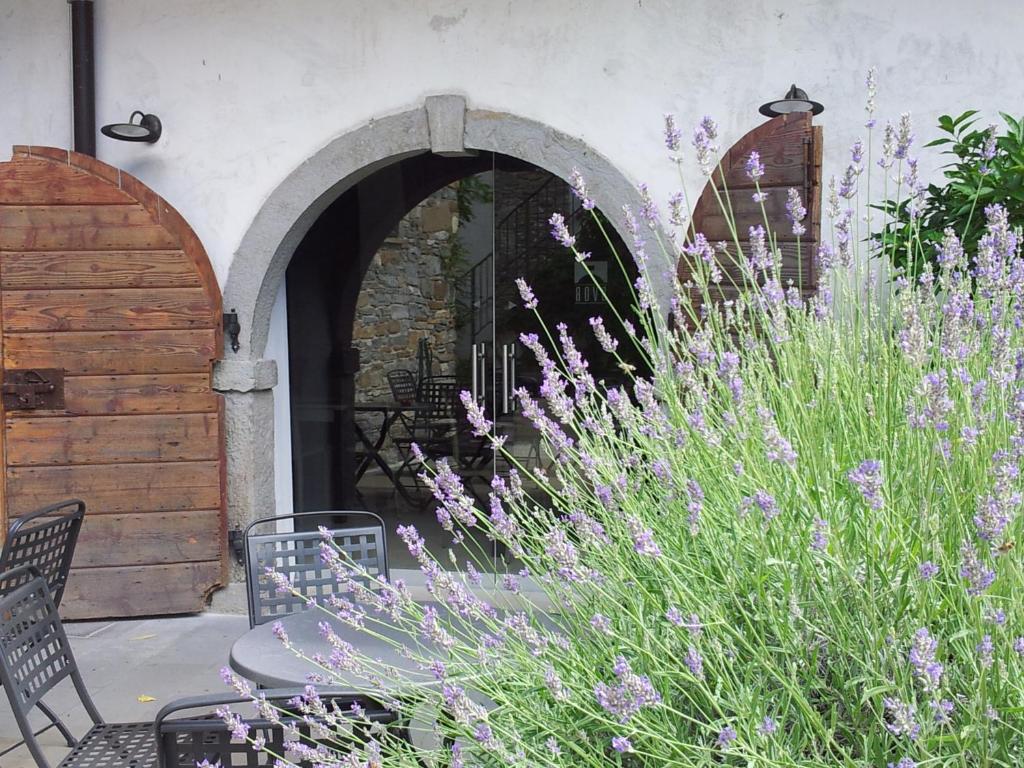 Zahrada ubytování Boutique Hotel Dvor