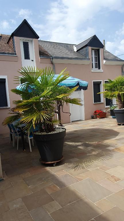 une maison avec des plantes en pot sur une terrasse dans l'établissement Maison avec garage 24 HEURES CAMIONS et toute manifestation pour 4 personnes, au Mans