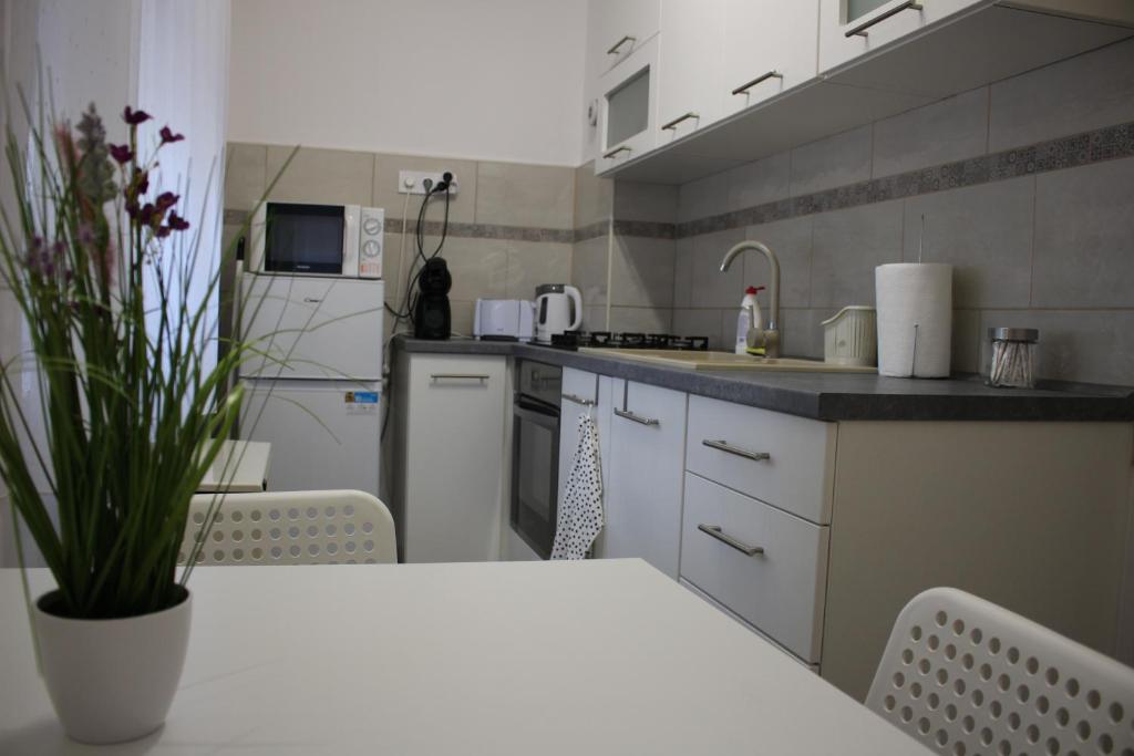 Kuchyň nebo kuchyňský kout v ubytování Fontana Apartman