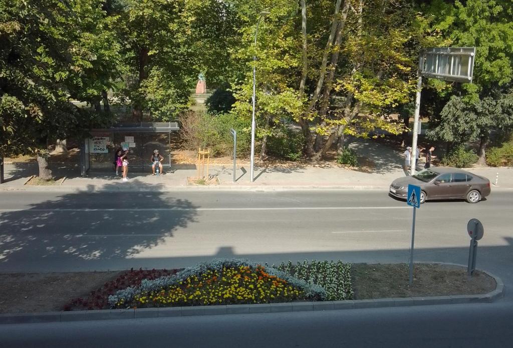 a car parked on the side of a road with flowers at Стеди - стая за гости in Varna City
