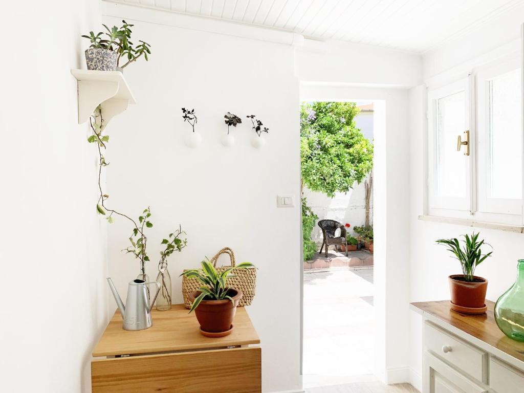 Tap Apartments in Independent House with Private Garden, Alghero