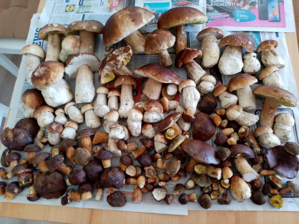 Jídlo v apartmánu nebo okolí