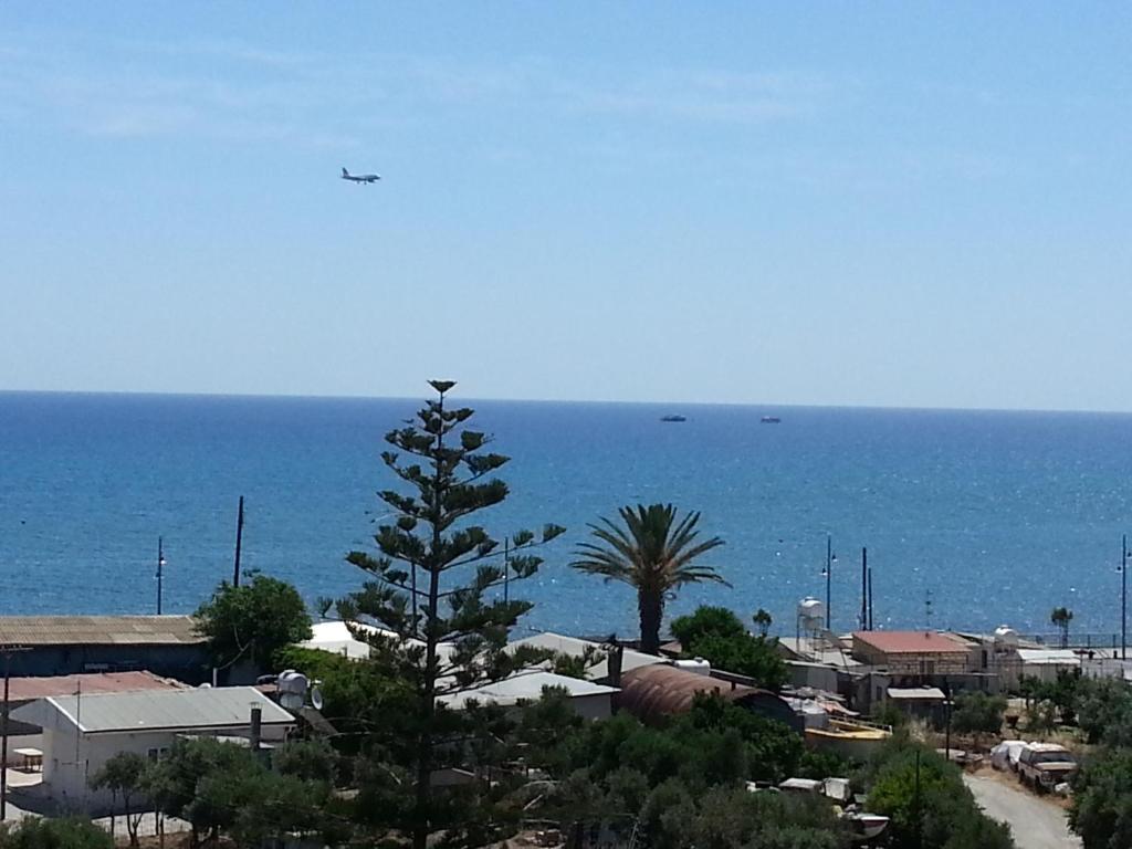 uma vista para o oceano com uma palmeira e edifícios em Pelides Apartments em Lárnaca