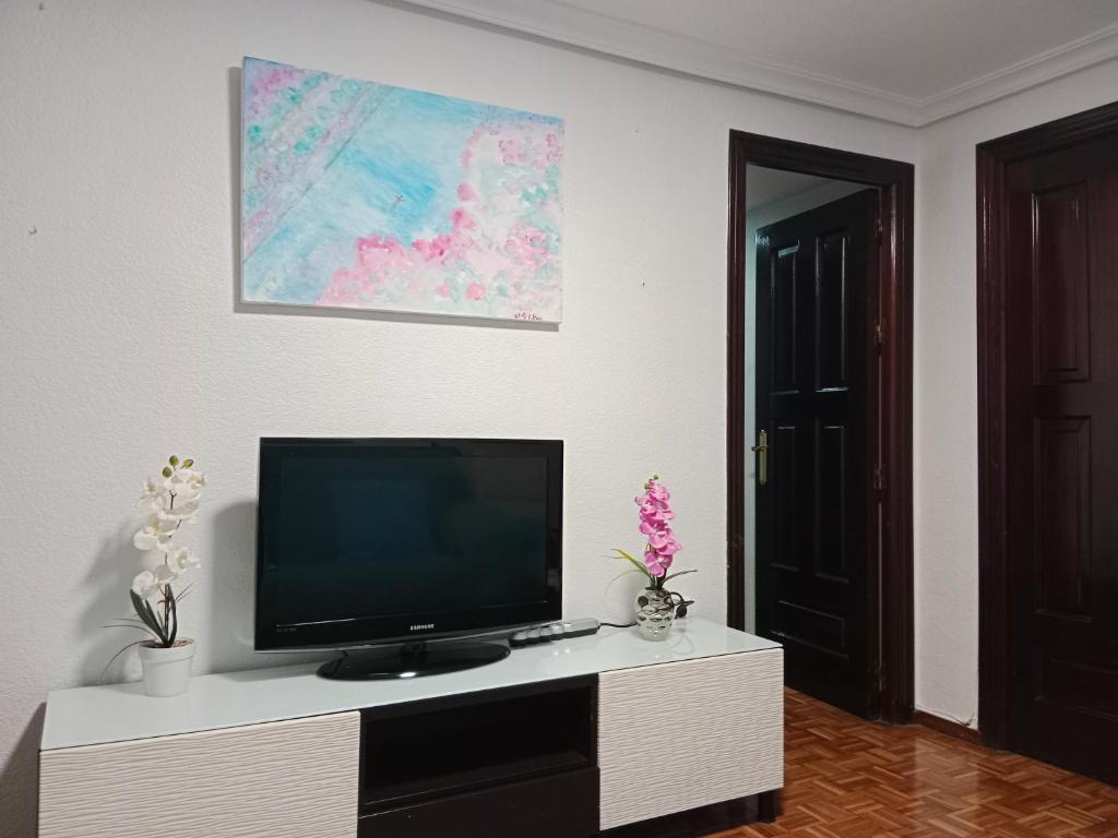 Televízia a/alebo spoločenská miestnosť v ubytovaní Apartamento zona Palacio de las Dueñas y las Setas