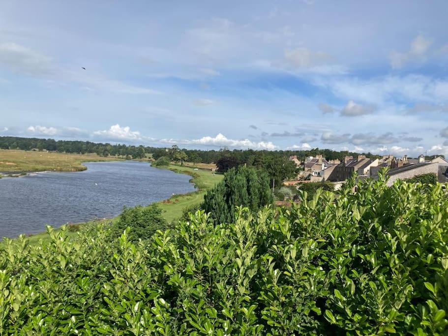 a view of a river with houses and trees at Sunny apartment by the river in Kelso