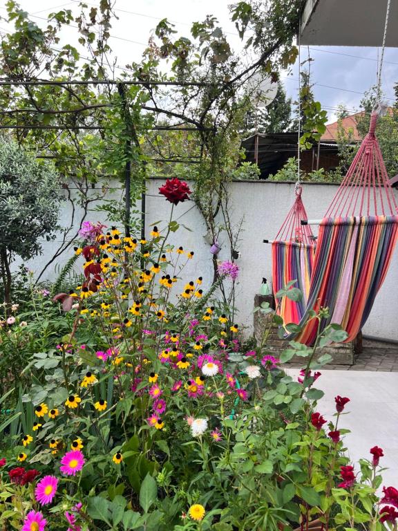Zahrada ubytování Guest House PIROSMANI