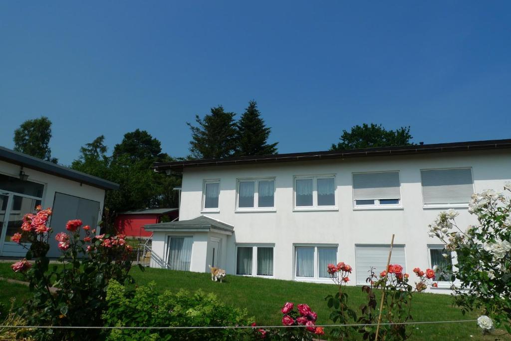 a white building with a dog in the yard at Rosenhof in Binz in Binz