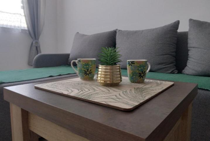 Green Apartman في باراسين: طاولة قهوة عليها كوبين وزرع