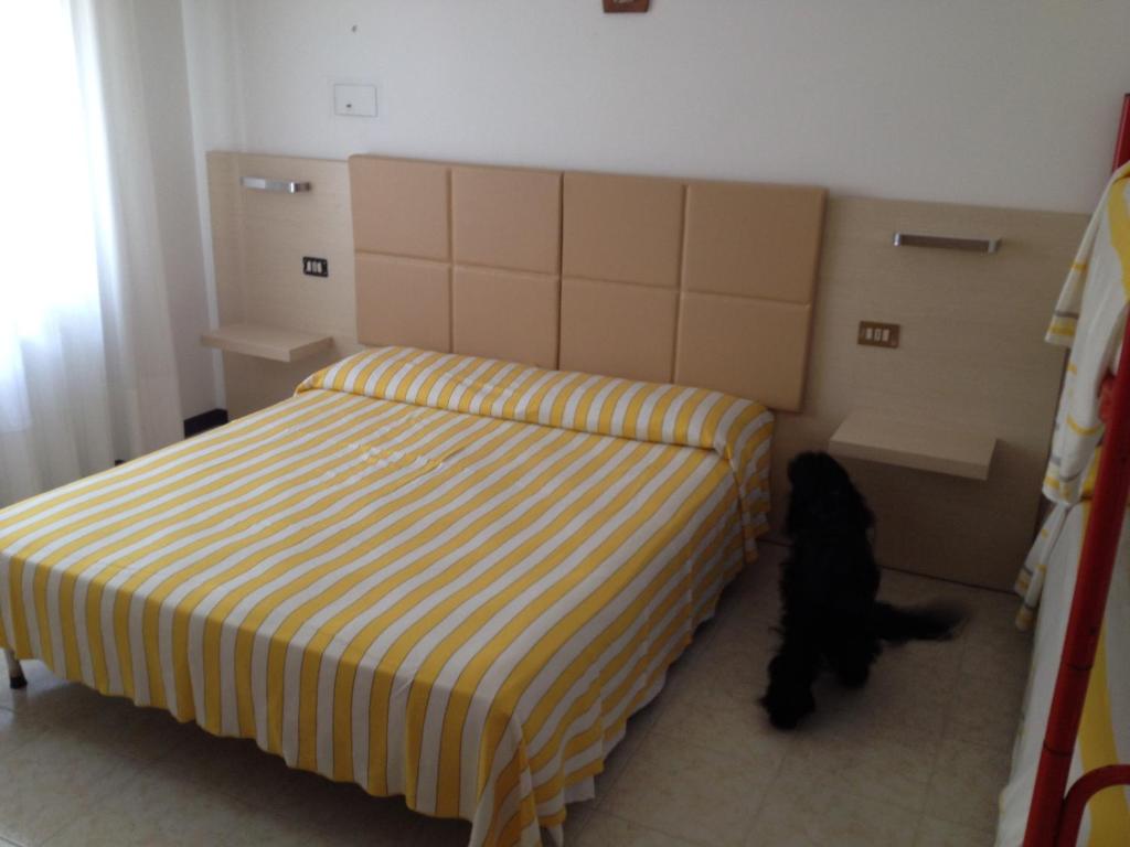 リド・ディ・イエゾロにあるApartment Istriaのベッドルーム1室(ベッド1台付)、隣に黒猫1匹