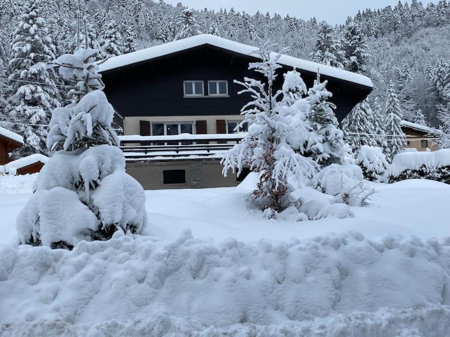 une maison recouverte de neige avec des arbres devant elle dans l'établissement CHALET DES HAUTS SAPINS LA BRESSE, à La Bresse