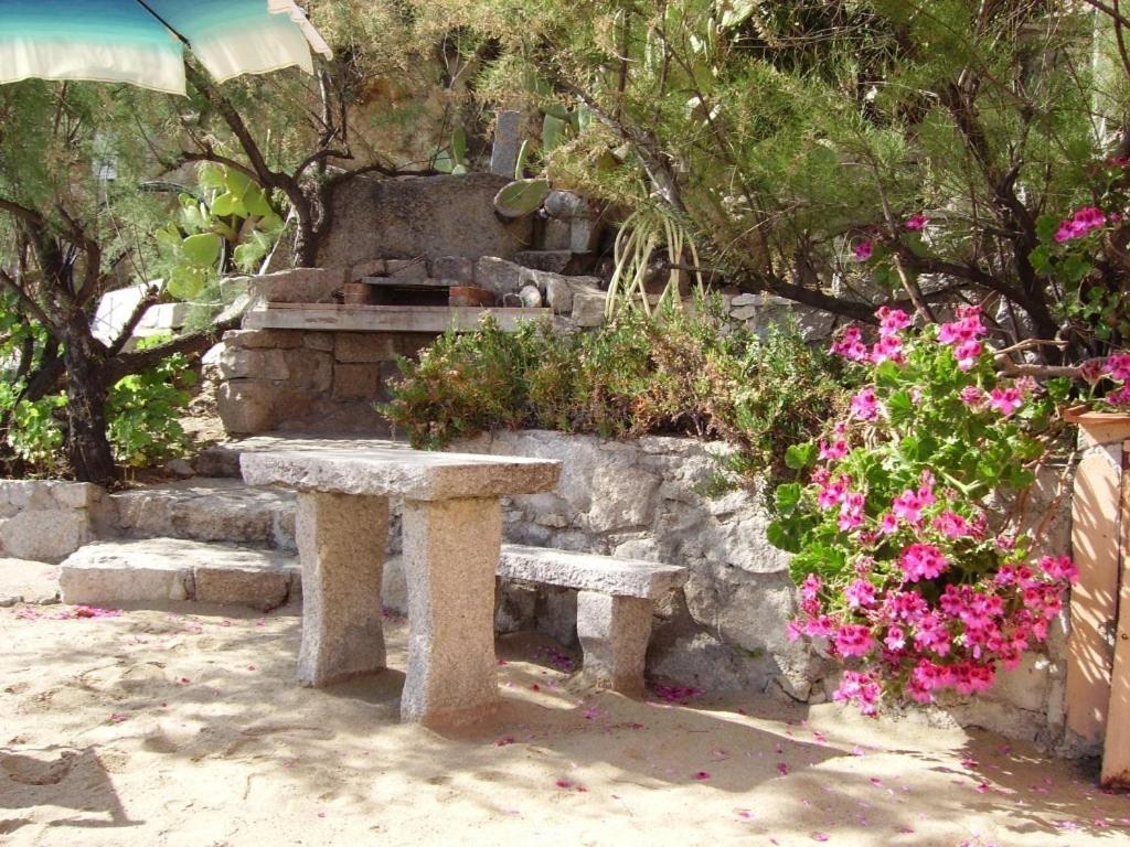 a stone bench in front of a stone wall with flowers at Onda Su Onda Appartamenti in Seccheto