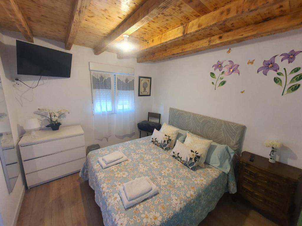 Habitaciones Casa Santander Playa Valdenoja في سانتاندير: غرفة نوم فيها سرير وتلفزيون