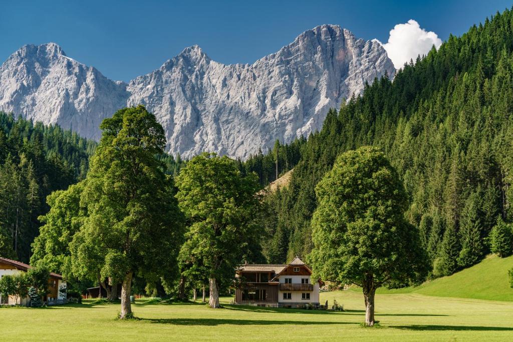 a house in a field with trees and mountains at Alpenrose Boutique Chalet Gretl in Ramsau am Dachstein