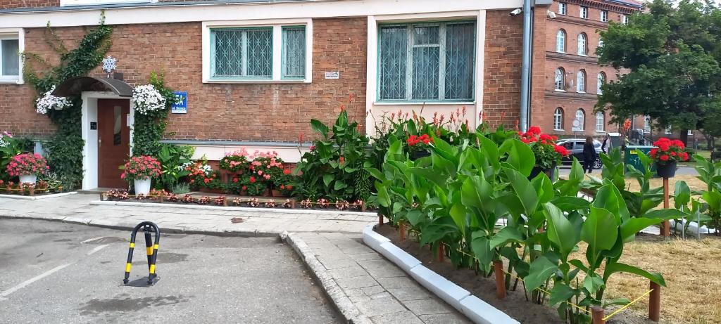 Studio Four Seasons with parking place - 10