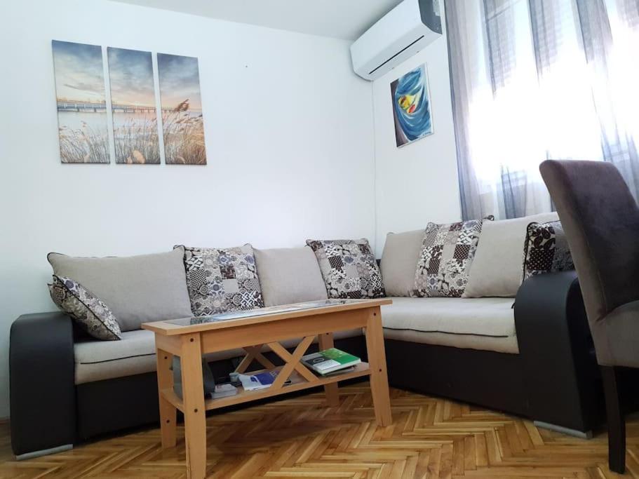 - un salon avec un canapé et une table dans l'établissement Ljupki apartman 2 km od centra i besplatan parking, à Podgorica