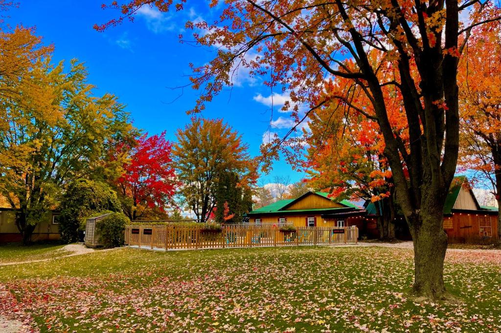 a house with a tree in the yard at Camping Bomont 