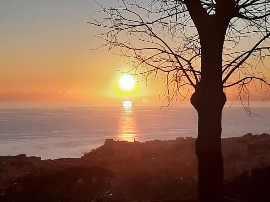 una puesta de sol sobre el océano con un árbol en Dal Moro 44 