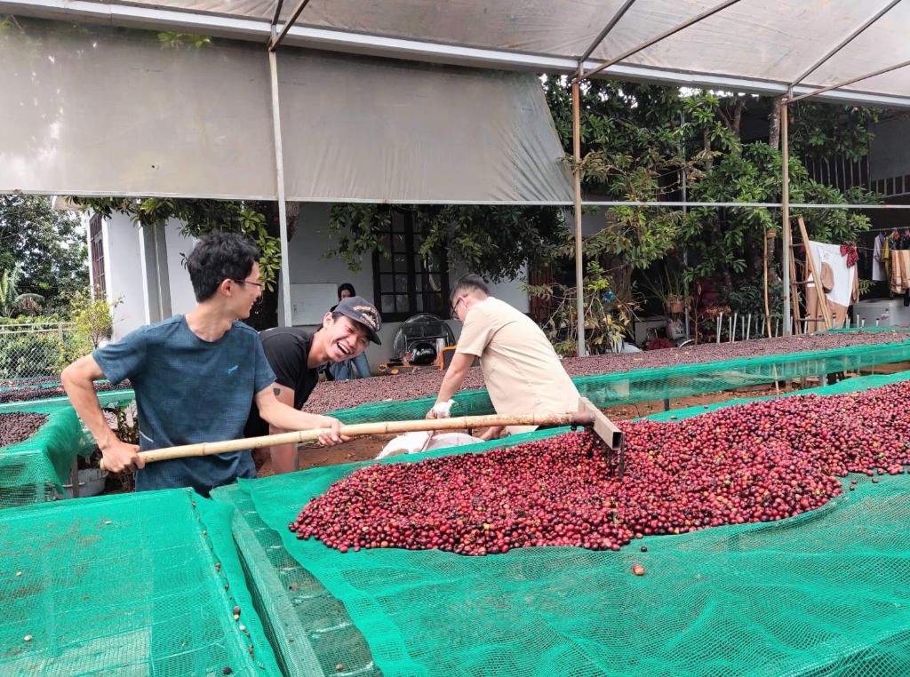 Hosté ubytování Elon Coffee Farmstay