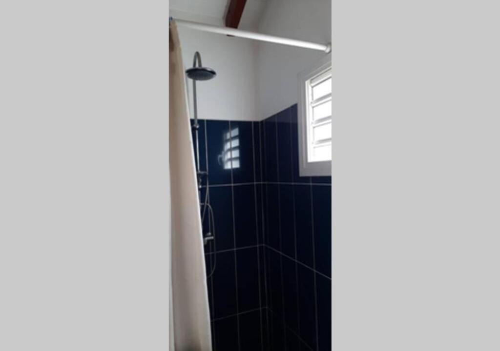 baño con ducha y pared de azulejos azules en Mango Villa en Les Abymes
