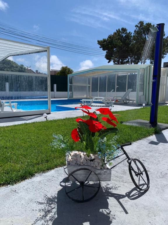 a bike with red flowers in a basket in a yard at Aroeira Tropical Villa in Charneca