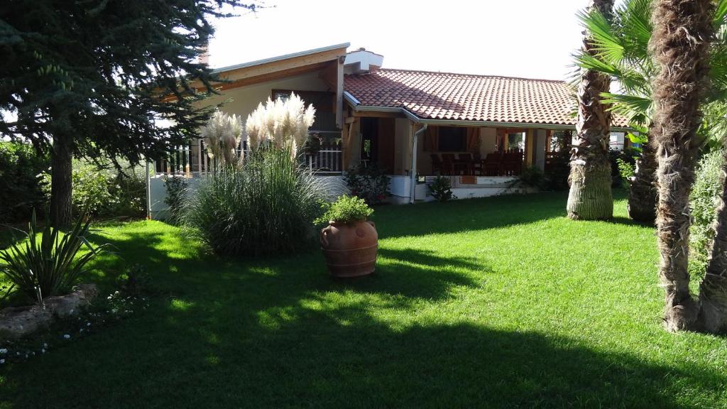een huis met een tuin met palmbomen bij Bed and Breakfast La Casetta in Macchia di Monte