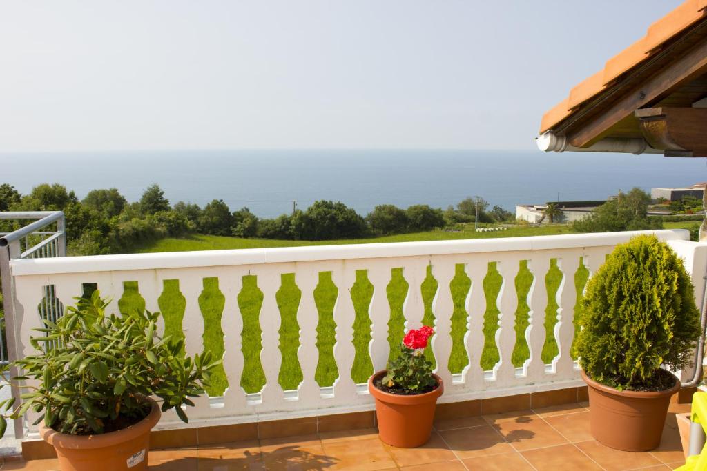 Príroda v okolí of the country house