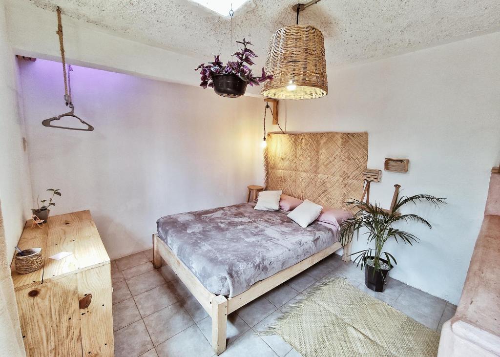 Postel nebo postele na pokoji v ubytování Hostel Boutique 55