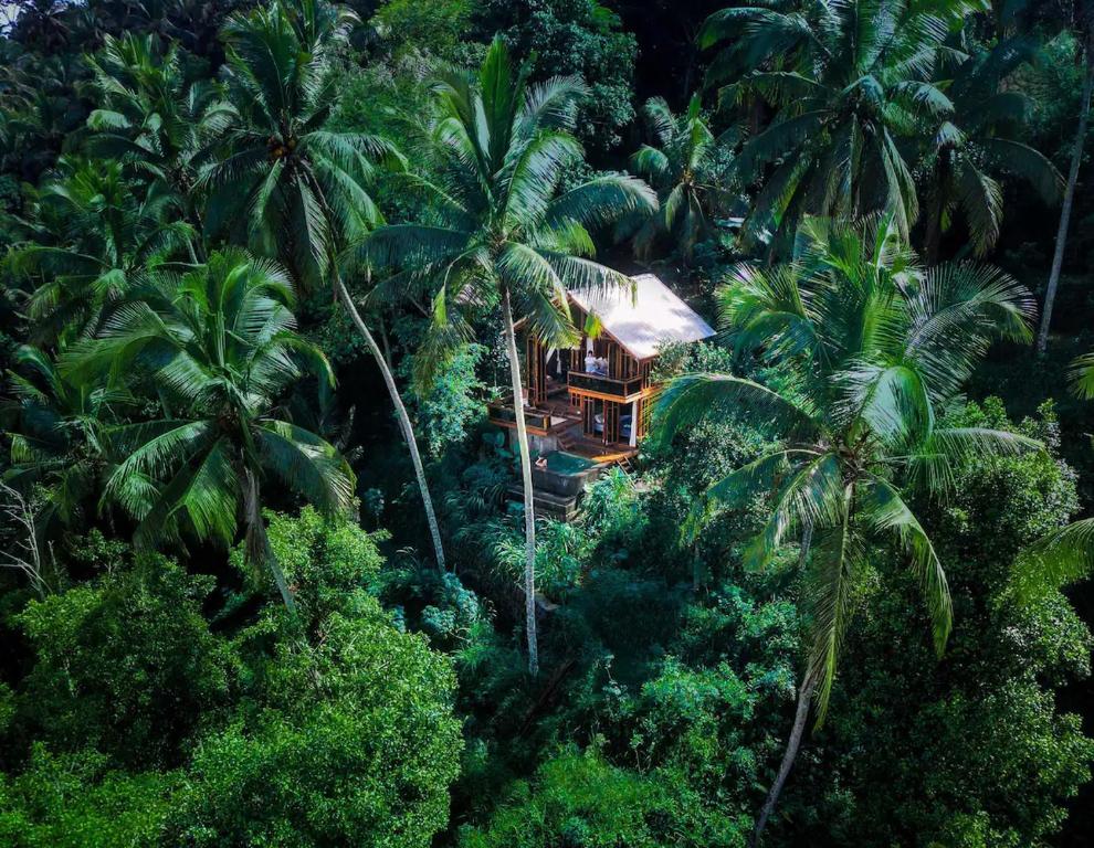 a house in the middle of a forest of palm trees at The Rampage House in Silebeng
