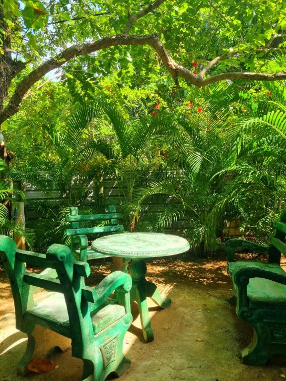 Sunrise Cottage - 18