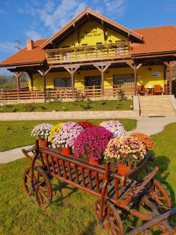 BoholtにあるPensiunea La Taica Iacobの建物前の花車