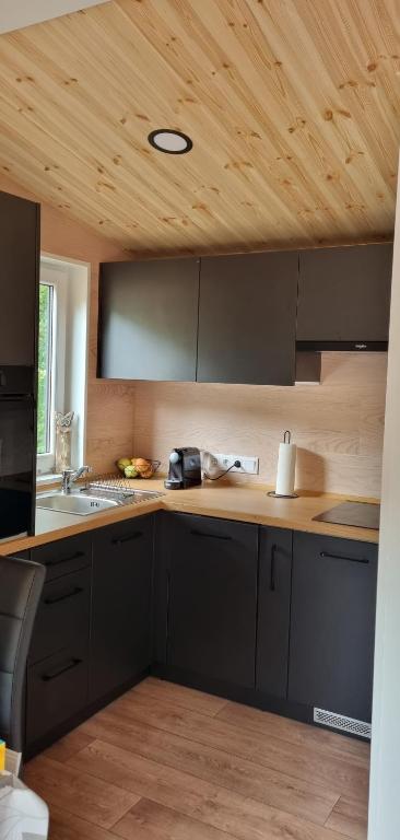Kuchyň nebo kuchyňský kout v ubytování Waldseechalet Julius - Wemding