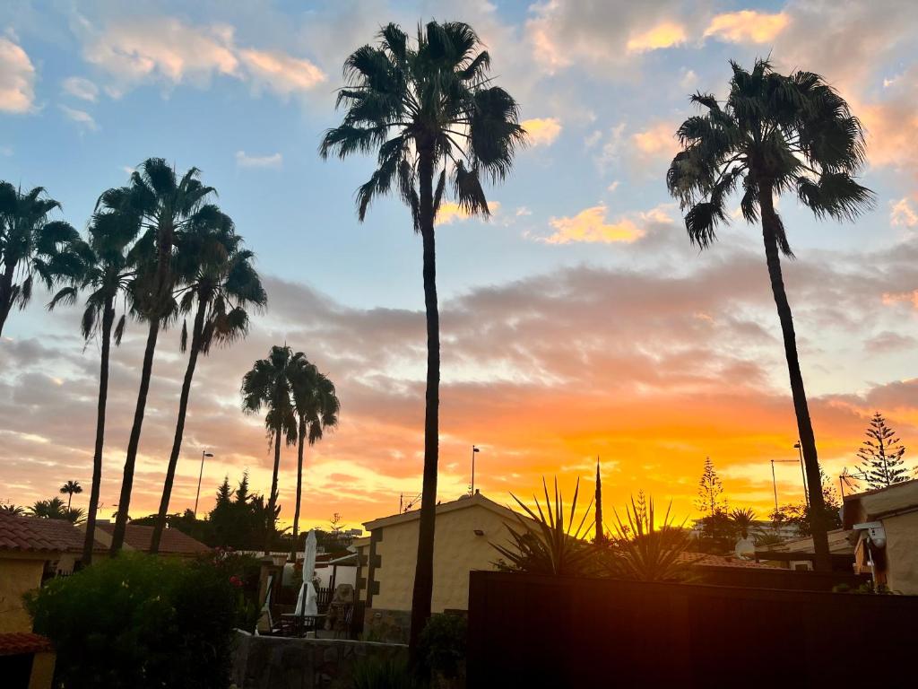 a group of palm trees in front of a sunset at Bungalow near Yumbo in Playa del Ingles