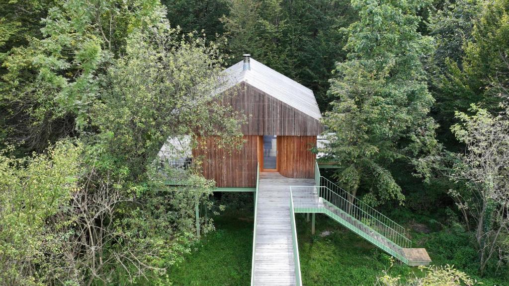 Příroda nedaleko apartmánu