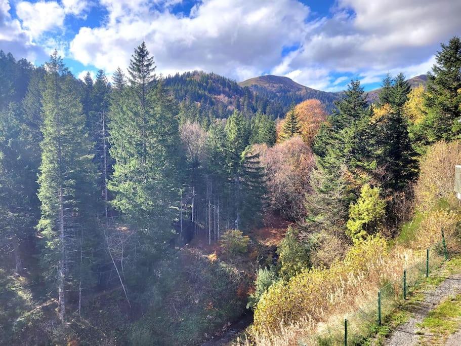 an aerial view of a forest of trees on a hill at Duplex 4/6p Le Familial in Laveissière