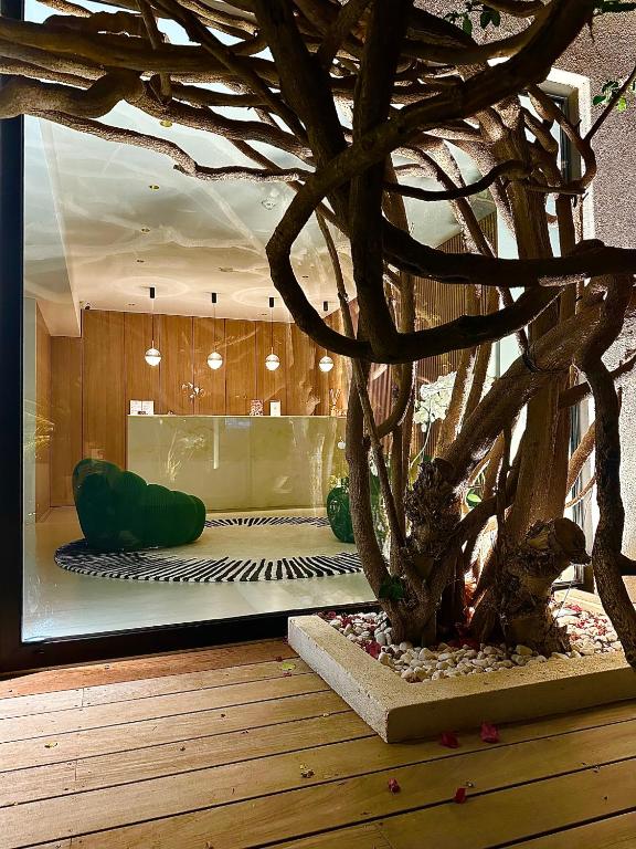 Fotografie z fotogalerie ubytování Hôtel Le Mistral v destinaci Porto-Vecchio