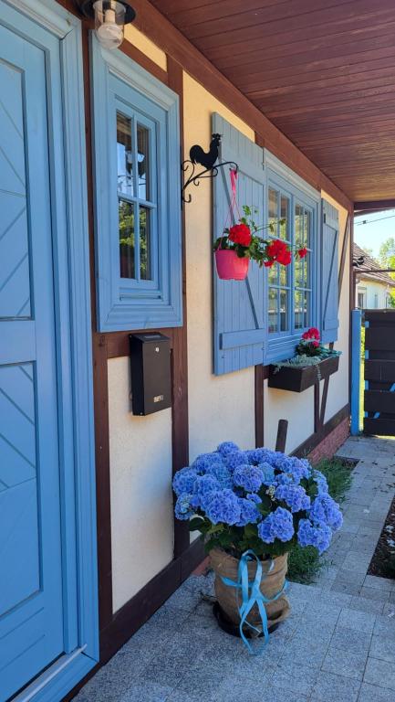 dom z niebieskimi oknami i garnek niebieskich kwiatów w obiekcie Haus Julia w mieście Hintersee