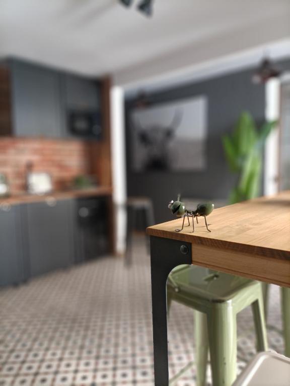 LOS PEPINOS ( mi lugar favorito ) - 13