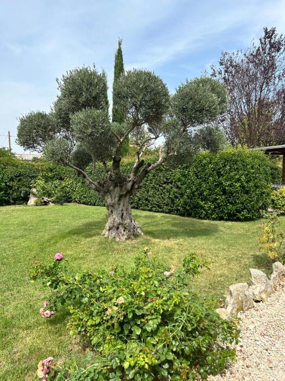 Zahrada ubytování La Perla di Assisi